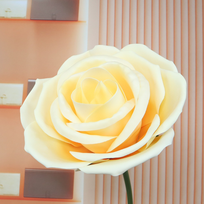 Large Scale Event Decoration R - Baby Products Shop review and price
